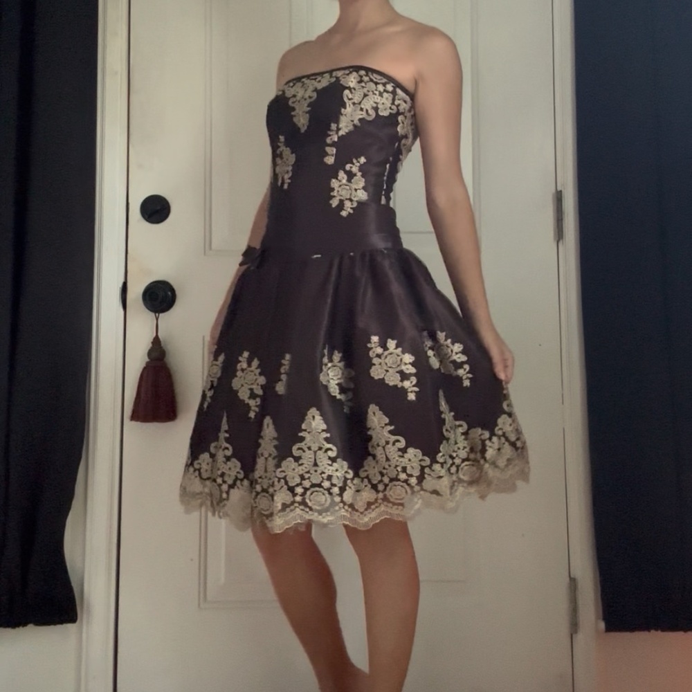 Vintage Drop Waist Brown and Tan Embroidered Lace Dress